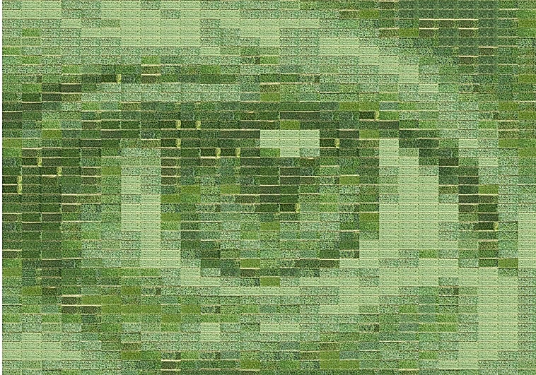 Una joven artista española hace la fotografía más grande del mundo